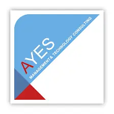 ayes ayes