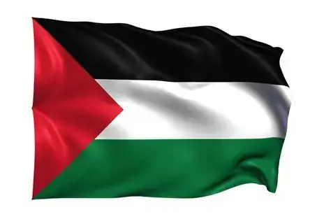 Flag pal